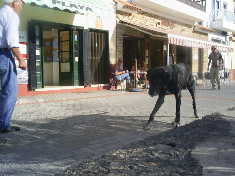 FeriepLaGomera041.jpg