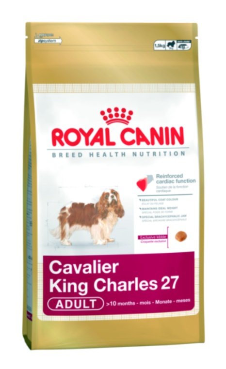 royal_canin_cavalier-king-charles.jpg